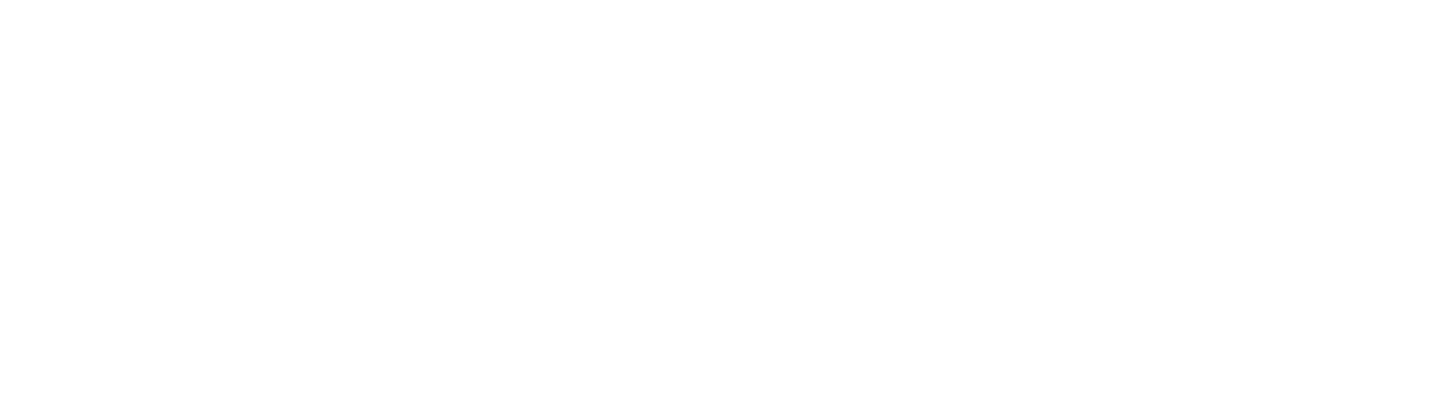 The Shark World
