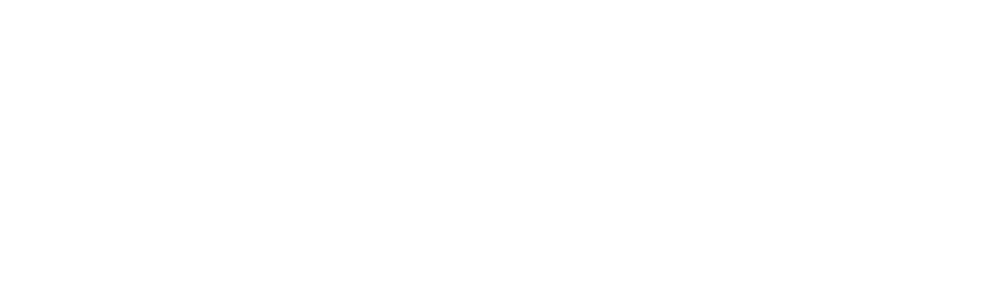 The Shark World